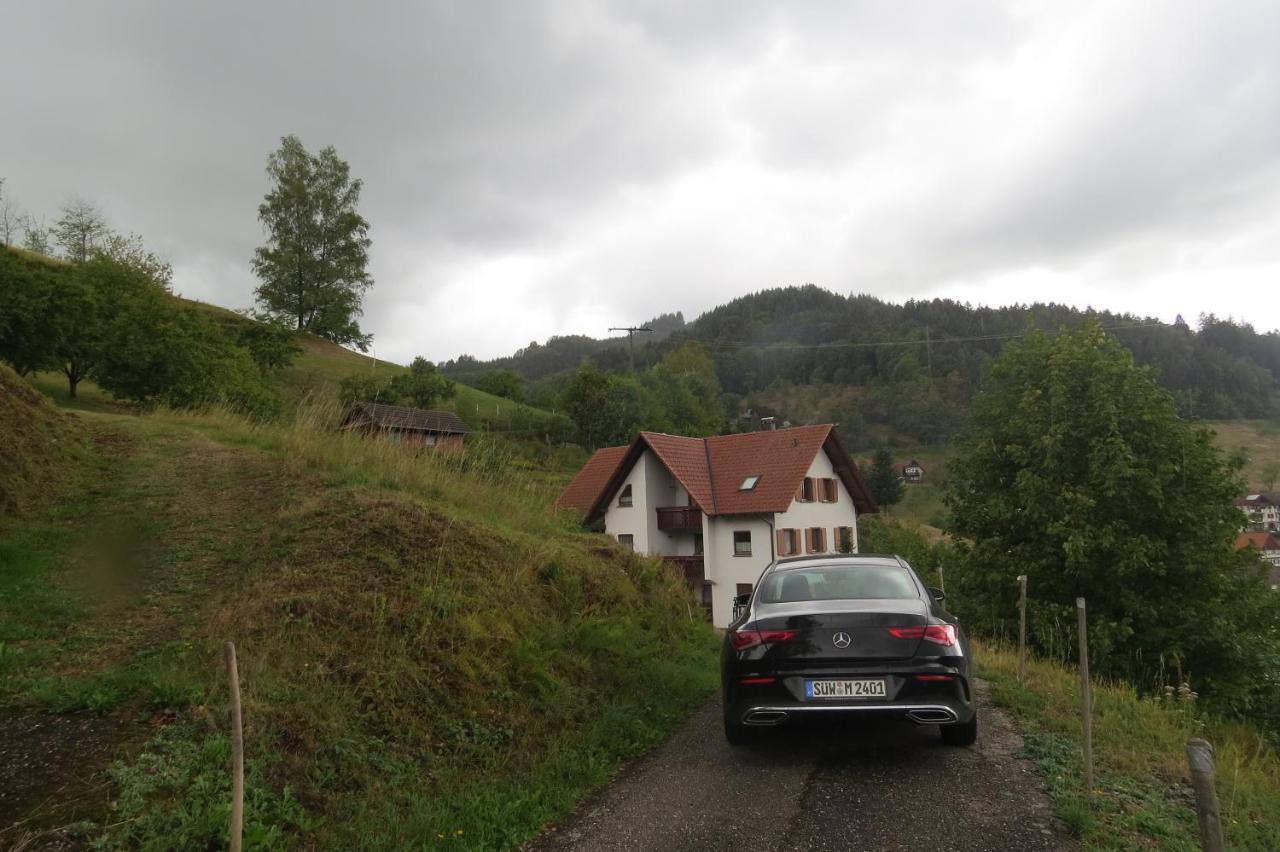 Einzigartiges Apartment, mitten in der Natur Ottenhöfen im Schwarzwald Exterior foto