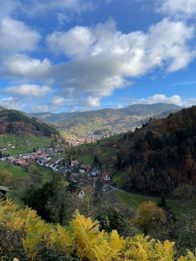 Einzigartiges Apartment, mitten in der Natur Ottenhöfen im Schwarzwald Exterior foto