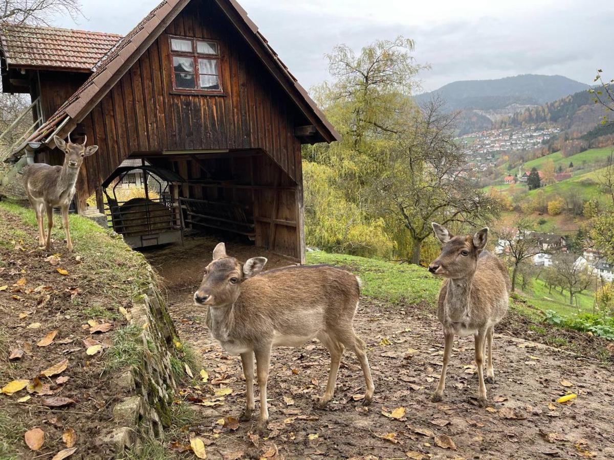 Einzigartiges Apartment, mitten in der Natur Ottenhöfen im Schwarzwald Exterior foto