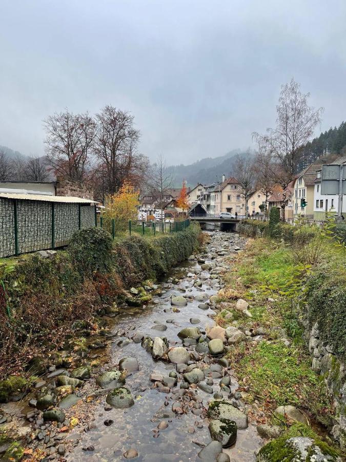 Einzigartiges Apartment, mitten in der Natur Ottenhöfen im Schwarzwald Exterior foto